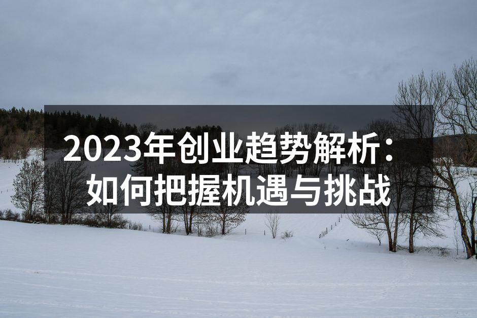 2023年创业趋势解析：如何把握机遇与挑战